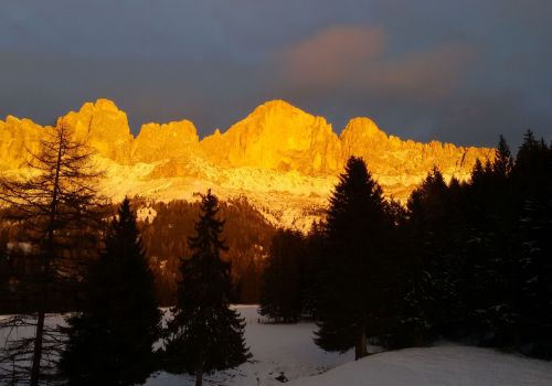 Bildergalerie Hochlandrinderzucht vom Rosengarten - Südtirol Hochlandrinderzucht Südtirol Schottische Hochlandrinder vom Rosengarten | Plank Dieter 